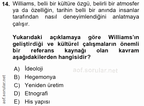 14. soru: Williams, belli bir kültüre özgü, belirli bir atmosfer ya da özelliğin, tarihin belli bir anında insanlar tarafından…