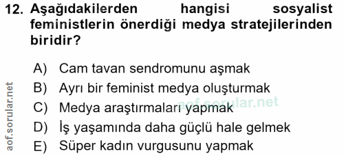 12. soru: Aşağıdakilerden hangisi sosyalist feministlerin önerdiği medya stratejilerinden biridir? A) Cam tavan sendromunu aşma…