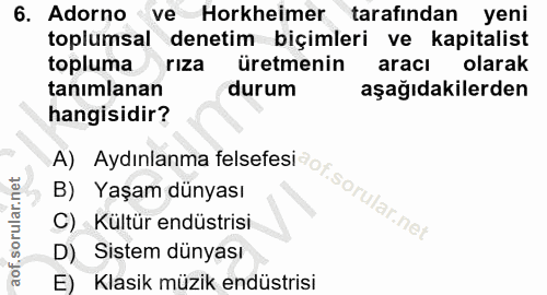 6. soru: Adorno ve Horkheimer tarafından yeni toplumsal denetim biçimleri ve kapitalist topluma rıza üretmenin araci olarak ta…