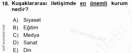 18. soru: Kuşaklararası iletişimde en önemli kurum nedir? A) Siyaset B) Eğitim C) Medya D) Sanat E) Din