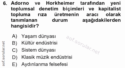 6. soru: Adorno ve Horkheimer tarafından yeni toplumsal denetim biçimleri ve kapitalist topluma riza üretmenin aracı olarak ta…