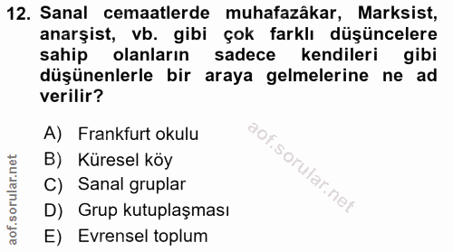 12. soru: Sanal cemaatlerde muhafazâkar, Marksist, anarşist, vb. gibi çok farklı düşüncelere sahip olanların sadece kendileri g…