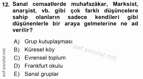 12. soru: Sanal cemaatlerde muhafazâkar, Marksist, anarşist, vb. gibi çok farklı düşüncelere sahip olanların sadece kendileri g…