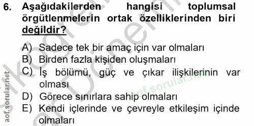 6. soru: Aşağıdakilerden hangisi toplumsal örgütlenmelerin ortak özelliklerinden biri değildir? A) Sadece tek bir amaç için va…