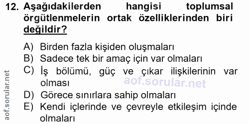 12. soru: Aşağıdakilerden hangisi toplumsal örgütlenmelerin ortak özelliklerinden biri değildir? A) Birden fazla kişiden oluşma…
