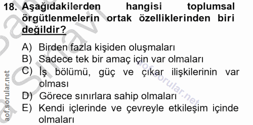 18. soru: Aşağıdakilerden hangisi toplumsal örgütlenmelerin ortak özelliklerinden biri değildir? A) Birden fazla kişiden oluşma…