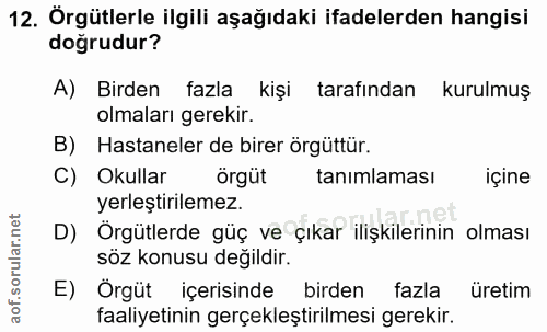 12. soru: Örgütlerle ilgili aşağıdaki ifadelerden hangisi doğrudur? A) Birden fazla kişi tarafından kurulmuş olmaları gerekir.…