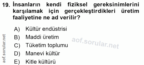19. soru: Insanların kendi fiziksel gereksinimlerini karşılamak için gerçekleştirdikleri üretim faaliyetine ne ad verilir? A) K…