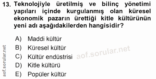 13. soru: Teknolojiyle üretilmiş ve bilinç yönetimi yapıları içinde kurgulanmış olan küresel ekonomik pazarın ürettiği kitle kü…