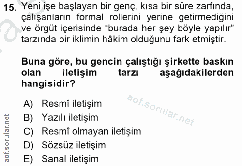 15. soru: Yeni işe başlayan bir genç, kısa bir süre zarfında, çalışanların formal rollerini yerine getirmediğini ve örgüt içeri…