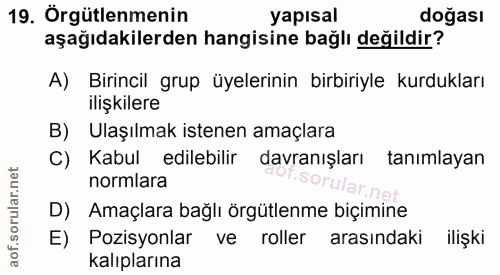 19. soru: Orgütlenmenin yapısal doğası aşağıdakilerden hangisine bağlı değildir? A) Birincil grup üyelerinin birbiriyle kurdukl…