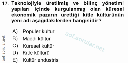 17. soru: Teknolojiyle üretilmiş ve bilinç yönetimi yapıları içinde kurgulanmış olan küresel ekonomik pazarın ürettiği kitle kü…