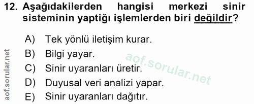 12. soru: Aşağıdakilerden hangisi merkezi sinir sisteminin yaptiğı işlemlerden biri değildir? A) Tek yönlü iletişim kurar. B) B…