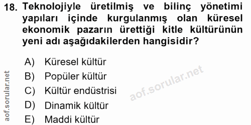 18. soru: Teknolojiyle üretilmiş ve bilinç yönetimi yapıları içinde kurgulanmış olan küresel ekonomik pazarın ürettiği kitle kü…