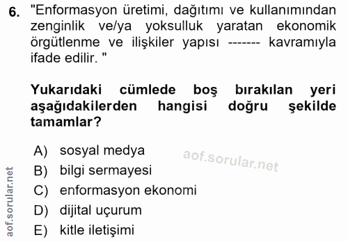 6. soru: "Enformasyon üretimi, dağıtımı ve kullanımından zenginlik ve/ya yoksulluk yaratan ekonomik örgütlenme ve ilişkiler ya…