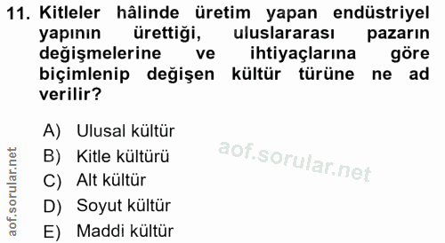 11. soru: Kitleler hâlinde üretim yapan endüstriyel yapının ürettiği, uluslararası pazarın değişmelerine ve ihtiyaçlarına göre…