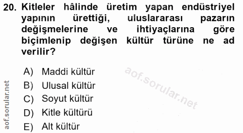 20. soru: Kitleler hâlinde üretim yapan endüstriyel yapının ürettiği, uluslararası pazarın değişmelerine ve ihtiyaçlarına göre…