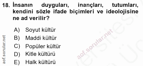 18. soru: İnsanın duyguları, inançları, tutumları, kendini sözle ifade biçimleri ve ideolojisine ne ad verilir? A) Soyut kültür…