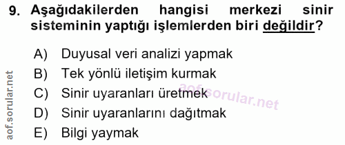 9. soru: Aşağıdakilerden hangisi merkezi sinir sisteminin yaptığı işlemlerden biri değildir? A) Duyusal veri analizi yapmak B)…