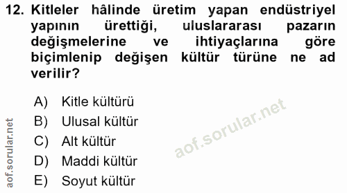 12. soru: Kitleler hâlinde üretim yapan endüstriyel yapının ürettiği, uluslararası pazarın değişmelerine ve ihtiyaçlarına göre…
