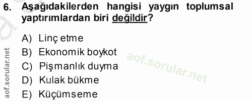 6. soru: Aşağıdakilerden hangisi yaygın toplumsal yaptırımlardan biri değildir? A) Linç etme B) Ekonomik boykot C) Pişmanlık d…