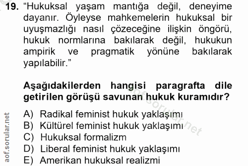 19. soru: "Hukuksal yaşam mantığa değil, deneyime dayanır. Öyleyse mahkemelerin hukuksal bir uyuşmazlığı nasıl çözeceğine ilişk…