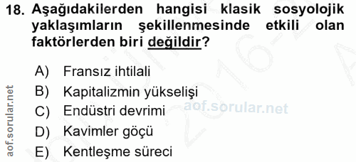 18. soru: Aşağıdakilerden hangisi klasik sosyolojik yaklaşımların şekillenmesinde etkili olan faktörlerden biri değildir? A) Fr…