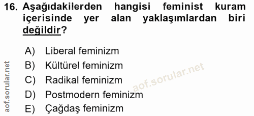 16. soru: Aşağıdakilerden hangisi feminist kuram içerisinde yer alan yaklaşımlardan biri değildir? A) Liberal feminizm B) Kültü…