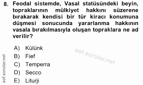 8. soru: Feodal sistemde, Vasal statüsündeki beyin, topraklarının mülkiyet hakkını süzerene bırakarak kendisi bir tür kiracı k…