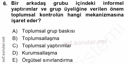 6. soru: Bir arkadaş grubu içindeki informel yaptırımlar ve grup üyeliğine verilen önem toplumsal kontrolün hangi mekanizmasın…