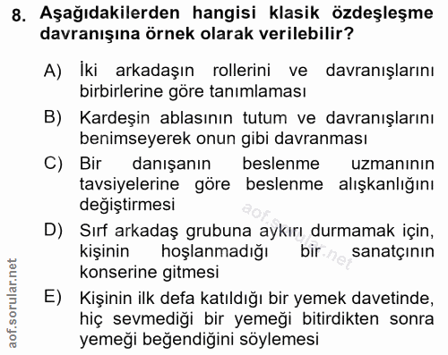 8. soru: Aşağıdakilerden hangisi klasik özdeşleşme davranışına örnek olarak verilebilir? A) Iki arkadaşın rollerini ve davranı…