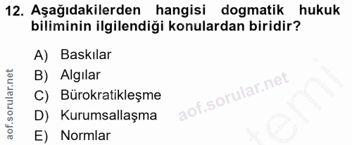 12. soru: Aşağıdakilerden hangisi dogmatik hukuk biliminin ilgilendiği konulardan biridir? A) Baskılar B) Algılar Bürokratikleş…
