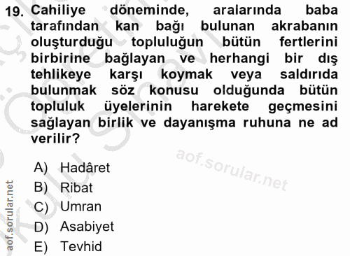 19. soru: Cahiliye döneminde, aralarında baba tarafından kan bağı bulunan akrabanın oluşturduğu topluluğun bütün fertlerini bir…