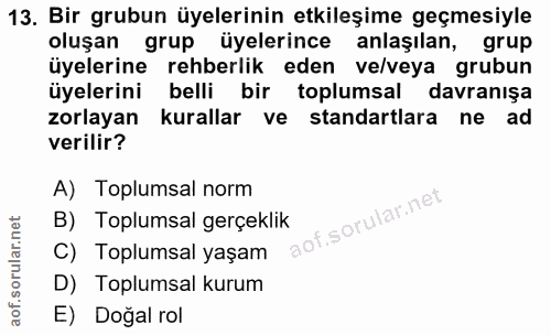 13. soru: Bir grubun üyelerinin etkileşime geçmesiyle oluşan grup üyelerince anlaşılan, grup üyelerine rehberlik eden ve/veya g…