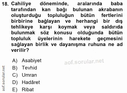 18. soru: Cahiliye döneminde, aralarında baba tarafından kan bağı bulunan akrabanın oluşturduğu topluluğun bütün fertlerini bir…