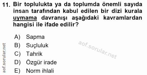 11. soru: Bir toplulukta ya da toplumda önemli sayıda insan tarafından kabul edilen bir dizi kurala uymama davranışı aşağıdaki…