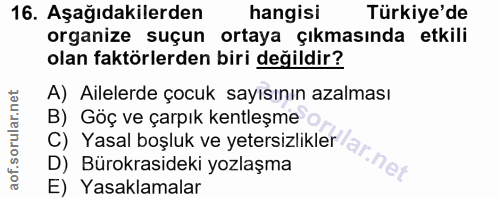 16. soru: Aşağıdakilerden hangisi Türkiye'de organize suçun ortaya çıkmasında etkili olan faktörlerden biri değildir? A) Ailele…