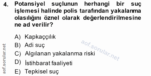 4. soru: Potansiyel suçlunun herhangi bir suç işlemesi halinde polis tarafından yakalanma olasılığını öznel olarak değerlendir…