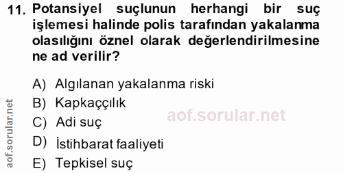 11. soru: Potansiyel suçlunun herhangi bir suç işlemesi halinde polis tarafından yakalanma olasılığını öznel olarak değerlendir…