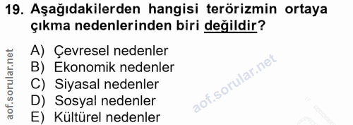 19. soru: Aşağıdakilerden hangisi terörizmin ortaya çıkma nedenlerinden biri değildir? A) Çevresel nedenler B) Ekonomik nedenle…