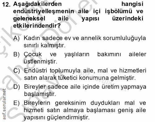 12. soru: Aşağıdakilerden hangisı endüstriyelleşmenin aile içi işbölümü ve geleneksel aile yapısı üzerindeki etkilerindendir? A…