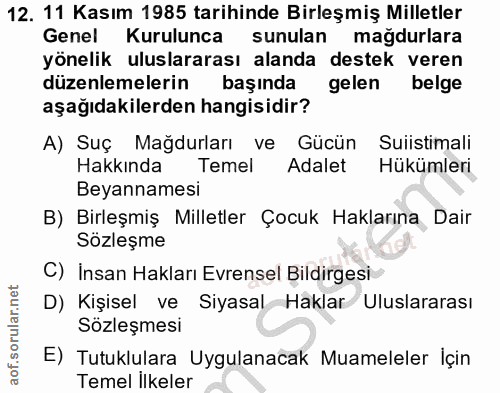 12. soru: 11 Kasım 1985 tarihinde Birleşmiş Milletler Genel Kurulunca sunulan magdurlara yönelik uluslararası alanda destek ver…