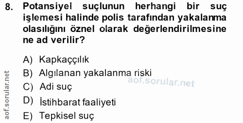 8. soru: Potansiyel suçlunun herhangi bir suç işlemesi halinde polis tarafından yakalanma olasılığını öznel olarak değerlendir…