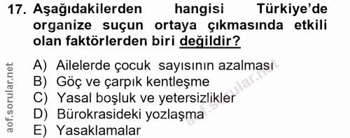 17. soru: Aşağıdakilerden hangisi Türkiye'de organize suçun ortaya çıkmasında etkili olan faktörlerden biri değildir? A) Ailele…