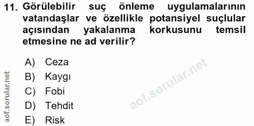 11. soru: Görülebilir suç önleme uygulamalarının vatandaşlar ve özellikle potansiyel suçlular açısından yakalanma korkusunu tem…