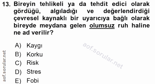 13. soru: Bireyin tehlikeli ya da tehdit edici olarak gördüğü, algıladığı ve değerlendirdiği çevresel kaynaklı bir uyarıcıya ba…
