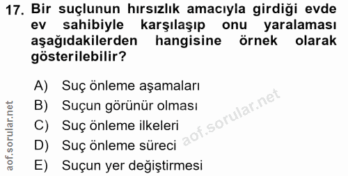 17. soru: Bir suçlunun hırsızlık amacıyla girdiği evde ev sahibiyle karşılaşıp onu yaralaması aşağıdakilerden hangisine örnek o…