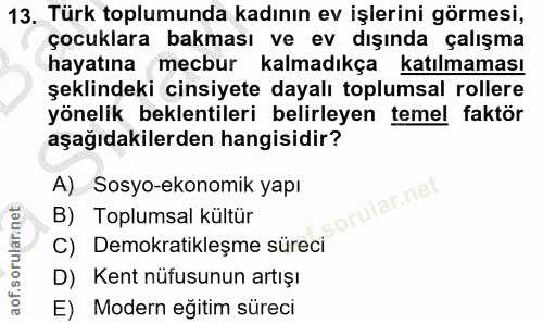 13. soru: Türk toplumunda kadının ev işlerini görmesi, çocuklara bakması ve ev dışında çalışma hayatına mecbur kalmadıkça katıl…