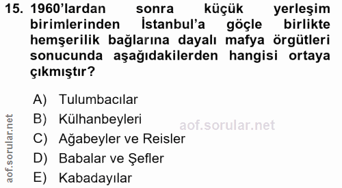15. soru: 1960'lardan sonra küçük yerleşim birimlerinden İstanbul'a göçle birlikte hemşerilik bağlarına dayalı mafya örgütleri…