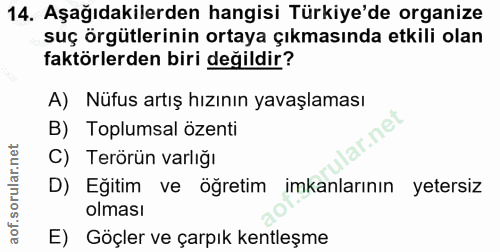 14. soru: Aşağıdakilerden hangisi Türkiye'de organize suç örgütlerinin ortaya çıkmasında etkili olan faktörlerden biri değildir…